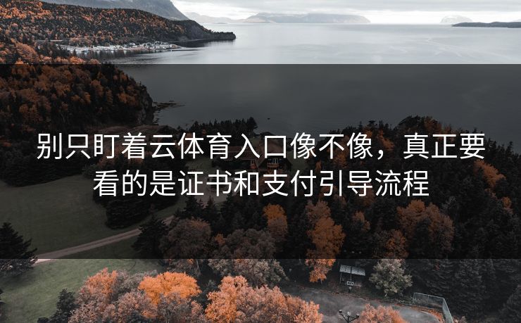 别只盯着云体育入口像不像，真正要看的是证书和支付引导流程