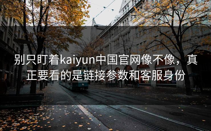 别只盯着kaiyun中国官网像不像，真正要看的是链接参数和客服身份