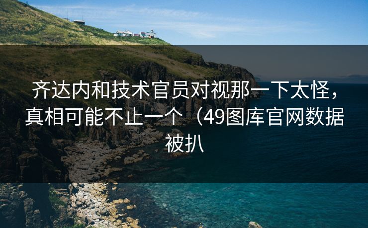 齐达内和技术官员对视那一下太怪,真相可能不止一个(49图库官网数据被扒